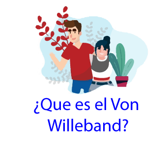 ¿qué es el von willebrand?